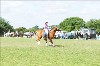 UKPA NC SAT_2422
